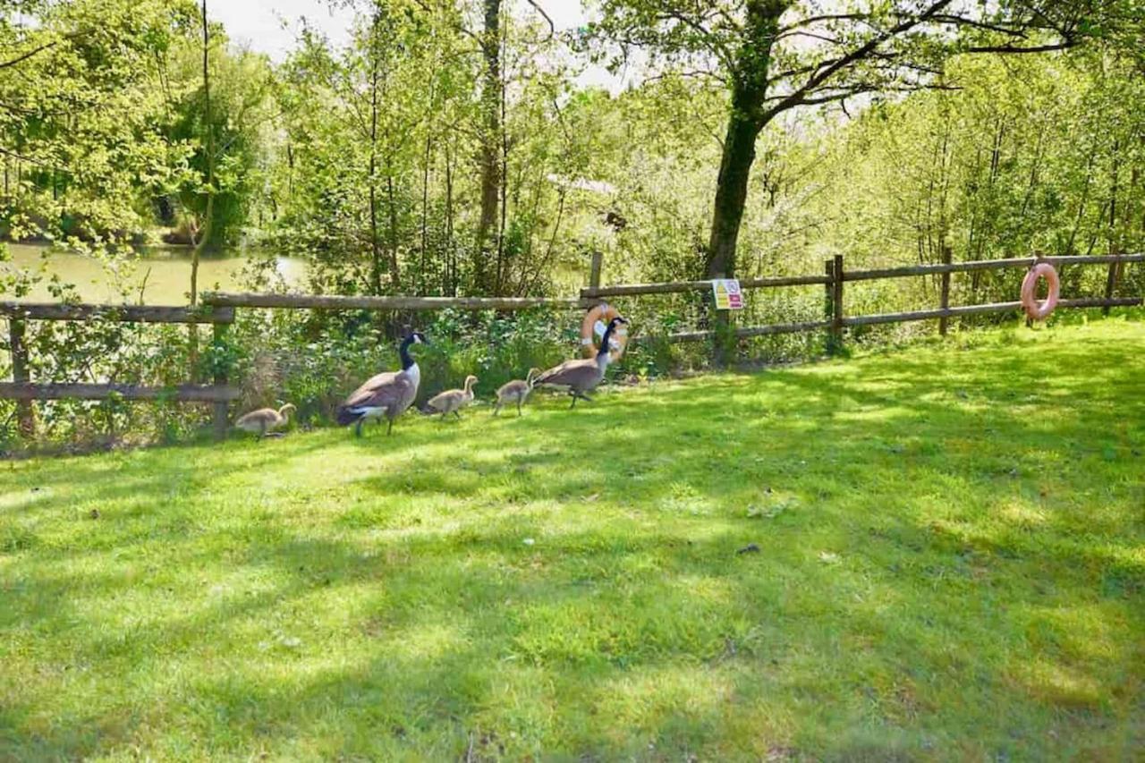 라이드 E7 Roebeck Country Park 빌라 외부 사진